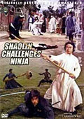 Shaolin Kung Fu master challenges a ninja warrior in the Shaolin Challenges Ninja movie.
