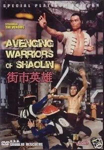 Man strikes a martial arts pose on the vintage "Avenging Warriors of Shaolin" DVD cover.
