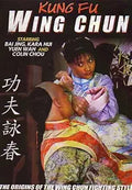 Kung Fu Wing Chun movie poster features Bai Jing practicing martial arts moves on another person.
