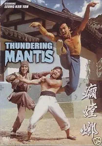Three martial artists perform action fighting moves on the vintage Thundering Mantis kung fu movie poster.
