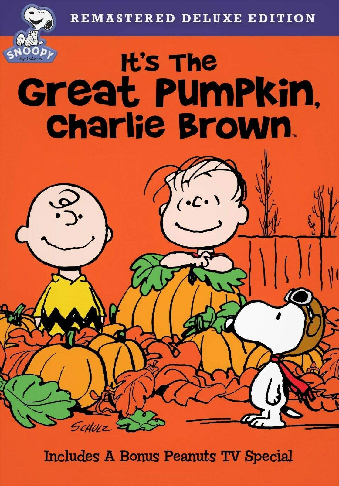 It's the Great Pumpkin Charlie Brown [DVD]