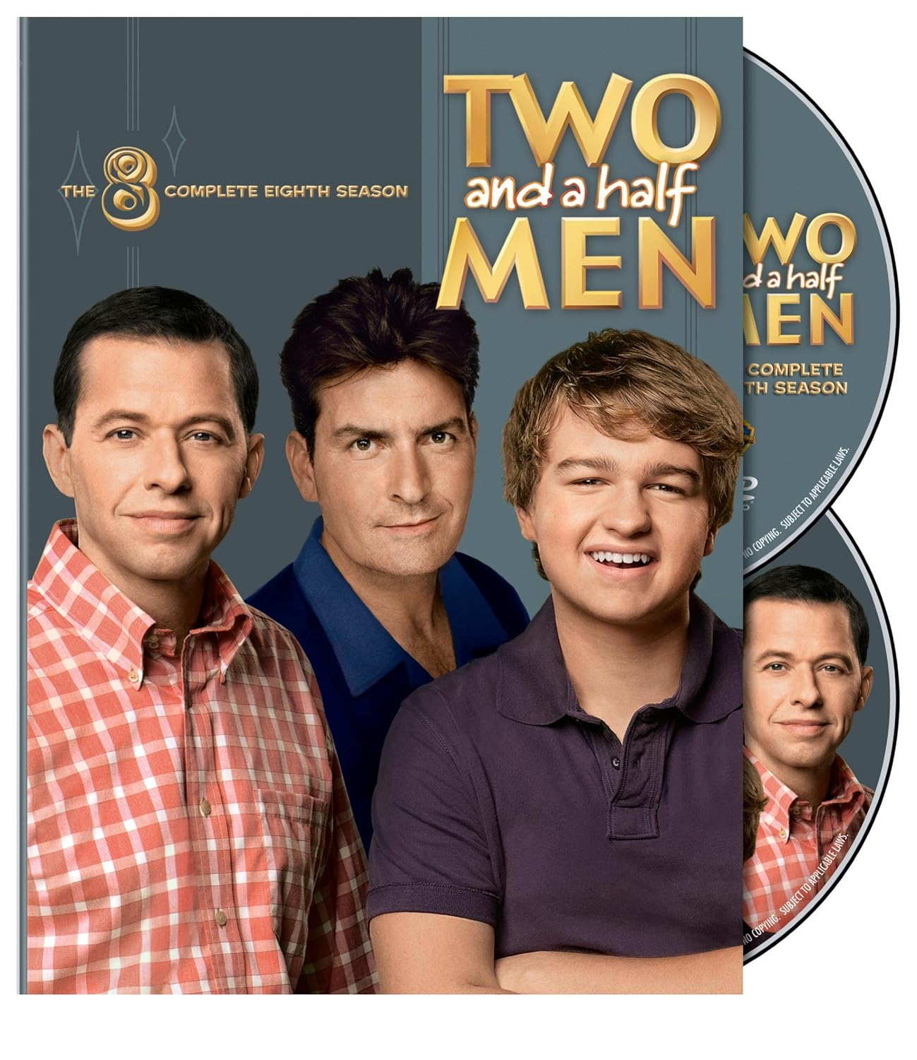 Two and a Half Men: Season 8 [DVD]
