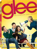 Characters from the TV show "Glee" react as Sue Sylvester shouts into a megaphone on the DVD cover for the complete first season.
