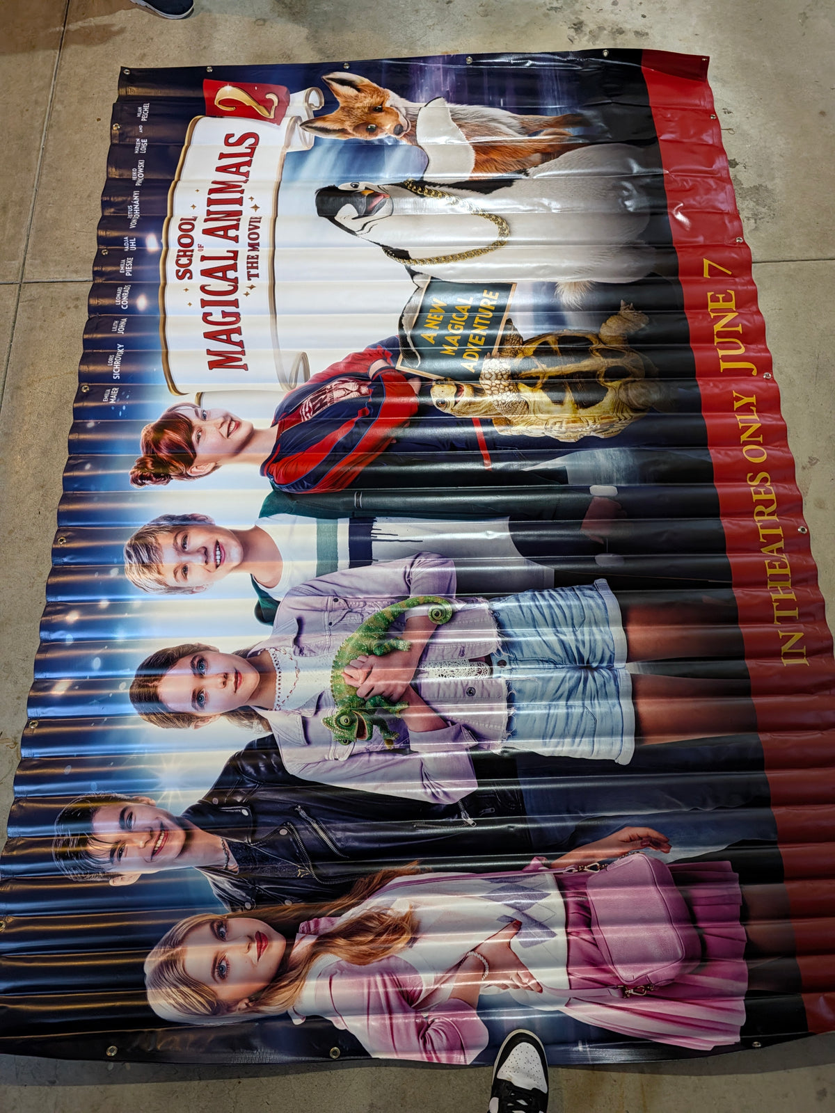 School of Magical Animals 2 Movie Theater Vinyl Banner 9x6 FT Original 2024
