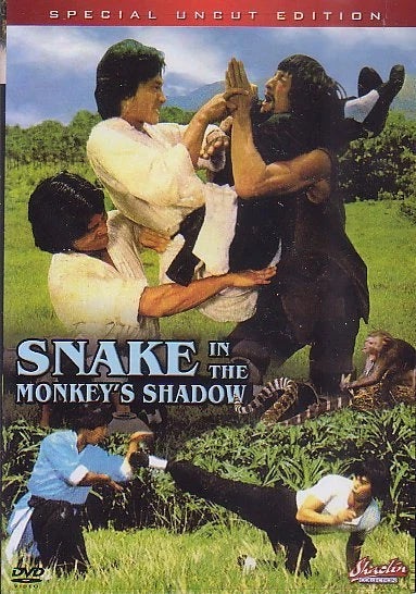 Kung fu fighters battle outdoors on the vintage movie cover for "Snake in the Monkey's Shadow."
