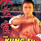 THE KUNG FU MASTER