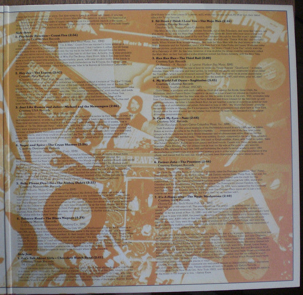 Various – Nuggets: Original Artyfacts From The First Psychedelic Era 1965-1968
