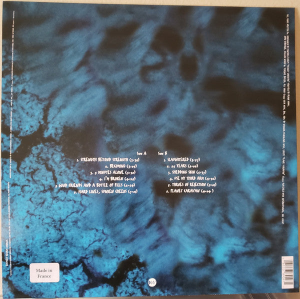 Pantera – Far Beyond Driven
