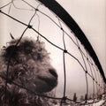 Pearl Jam – Vs.