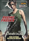 Raging phoenix