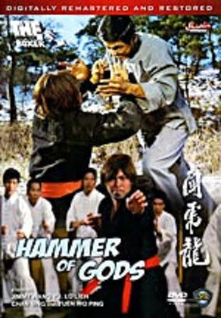 Kung Fu DVD Bundle Lot - Fist of White Lotus / Hammer of Gods / Slice of Death