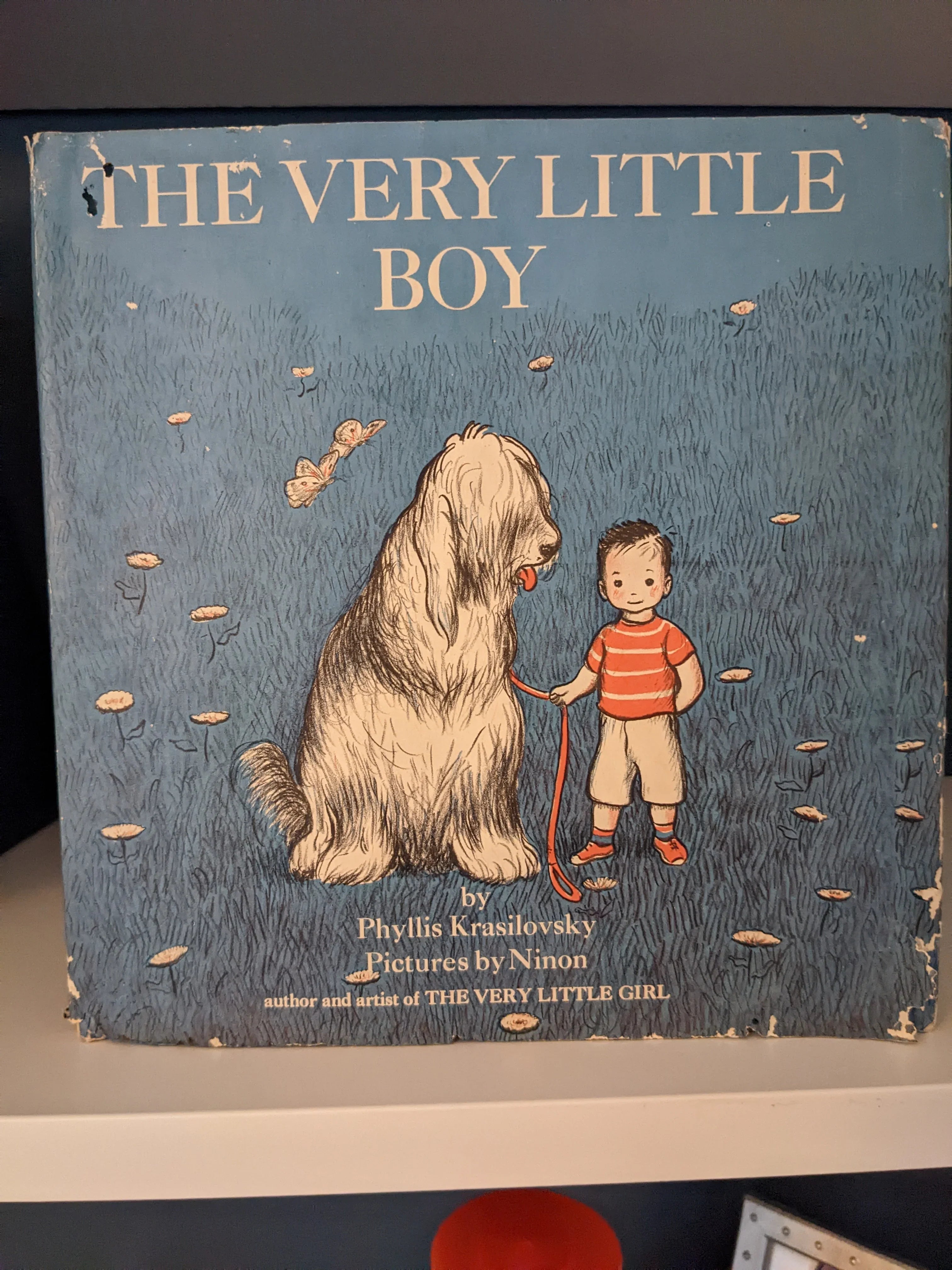 The Very Little Boy  Condition USED