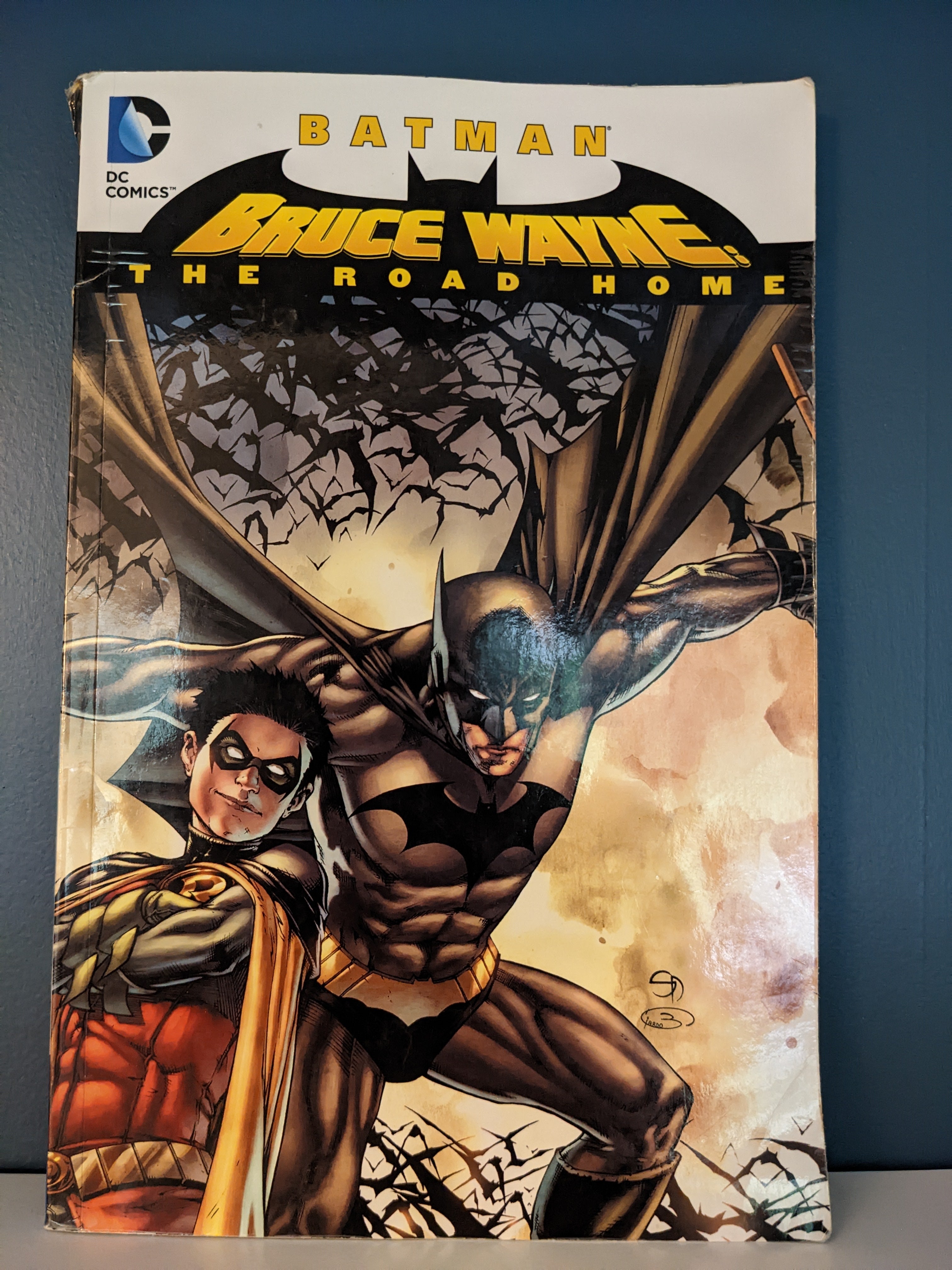 Batman: Bruce Wayne - The Road Home