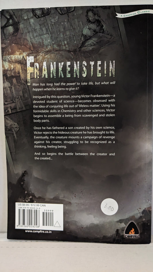 Frankenstein: The Graphic Novel (Campfire Graphic Novels) Paperback – July 27, 2010