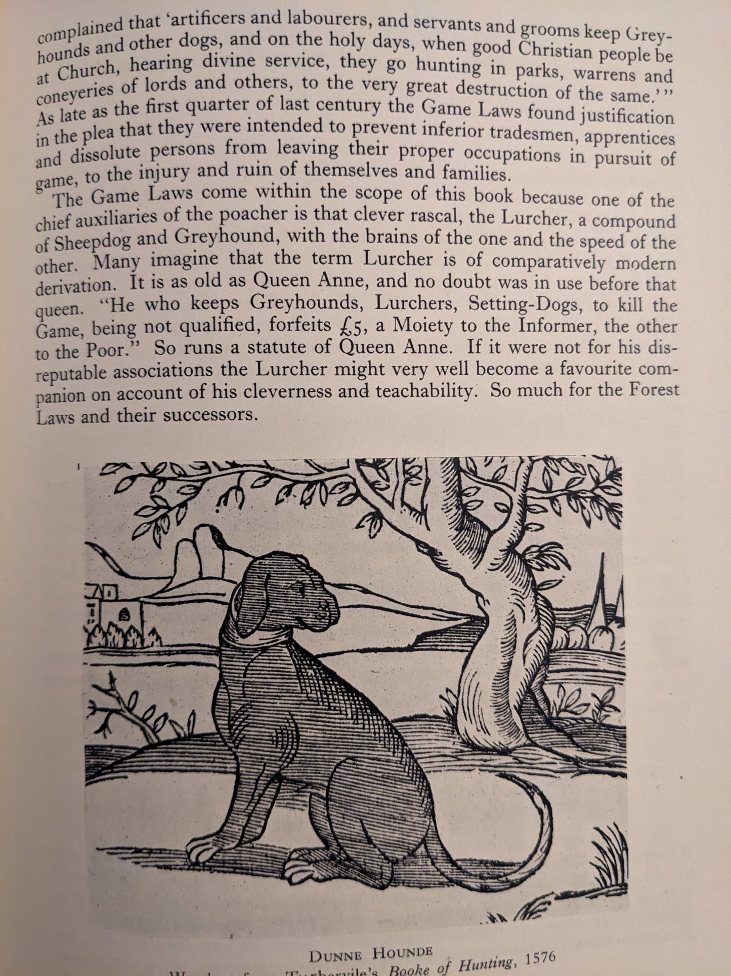 British dogs (Britain in pictures) Hardcover – January 1, 1947